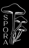 Shop Spora logo